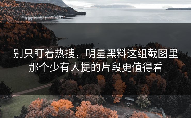 别只盯着热搜，明星黑料这组截图里那个少有人提的片段更值得看