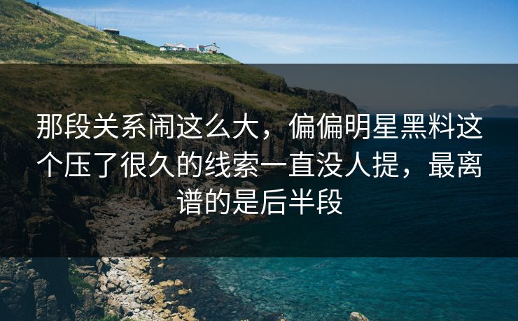 那段关系闹这么大，偏偏明星黑料这个压了很久的线索一直没人提，最离谱的是后半段