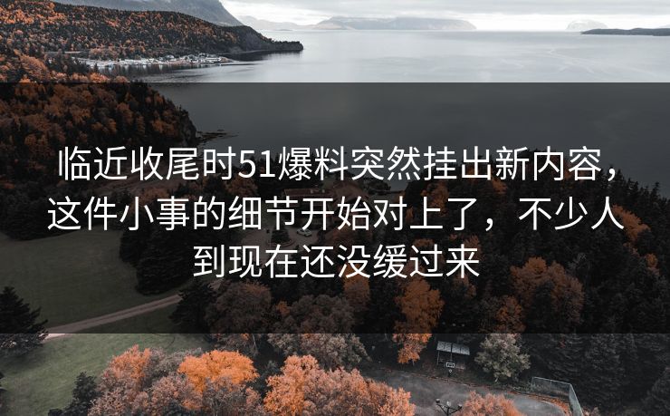 临近收尾时51爆料突然挂出新内容，这件小事的细节开始对上了，不少人到现在还没缓过来