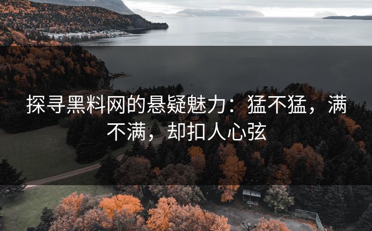 探寻黑料网的悬疑魅力：猛不猛，满不满，却扣人心弦