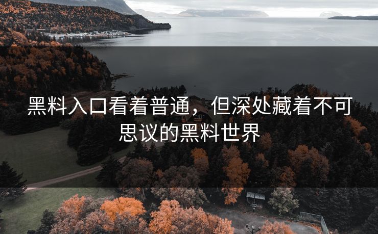 黑料入口看着普通，但深处藏着不可思议的黑料世界