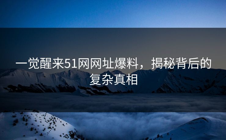 一觉醒来51网网址爆料,揭秘背后的复杂真相 一觉醒来51网网址爆料,揭秘背后的复杂真相